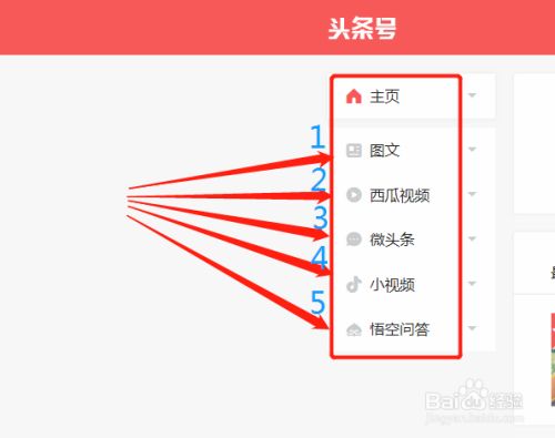 今日头条怎么挣钱？详细教程