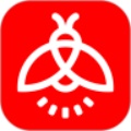 火萤视频壁纸app旧版