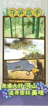 夺笋高手游戏下载