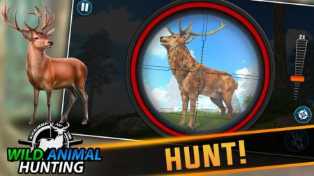 野生动物狩猎游戏官方下载