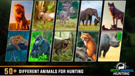野生动物狩猎单机版