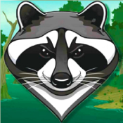 浣熊丛林探险安卓版