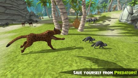 浣熊丛林探险安卓版下载