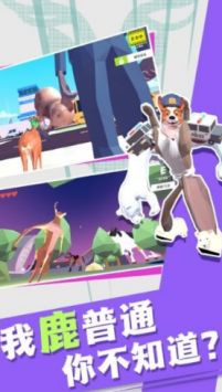 非常普通的动物们单机版下载