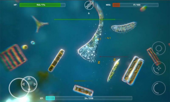 孢子进化单机版