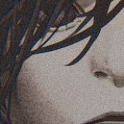 朋友实验室单机版