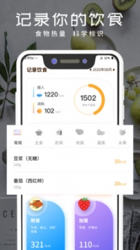 食物热量app最新版下载