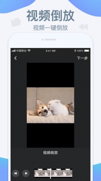 水印宝app最新版