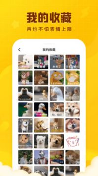 闪萌表情app官方版下载