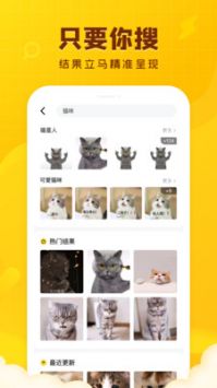 闪萌表情app官方版