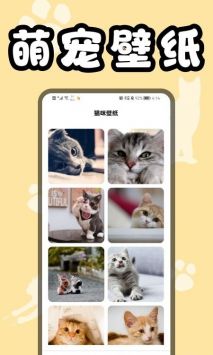 猫猫翻译器app最新版